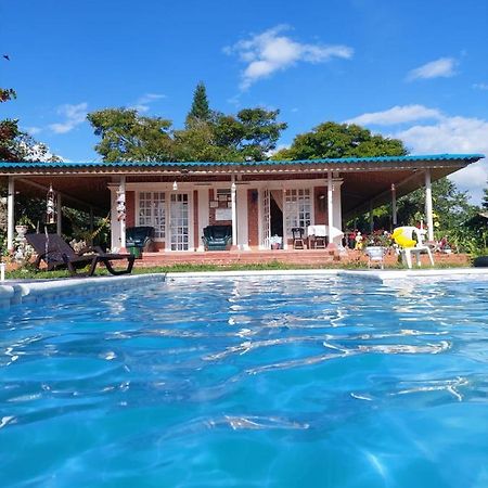 Villa Monica Montenegro Extérieur photo