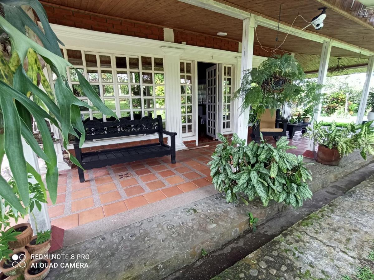 Villa Monica Montenegro Extérieur photo