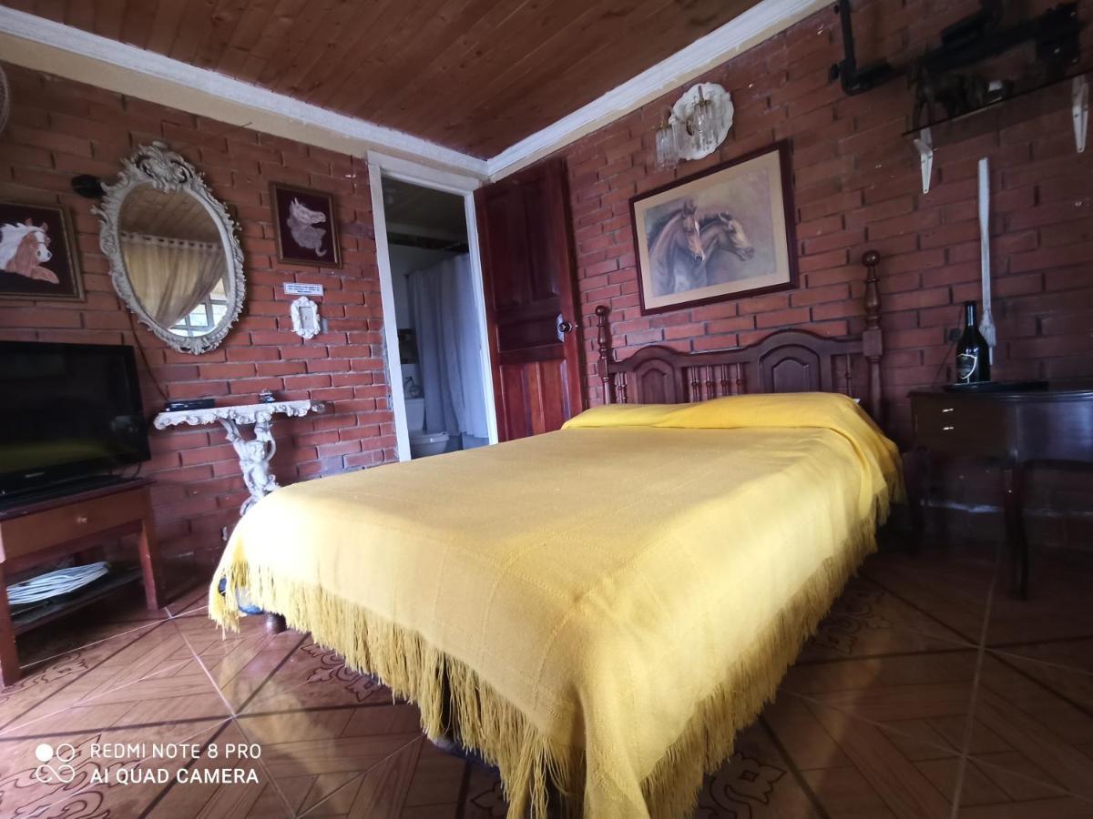 Villa Monica Montenegro Extérieur photo