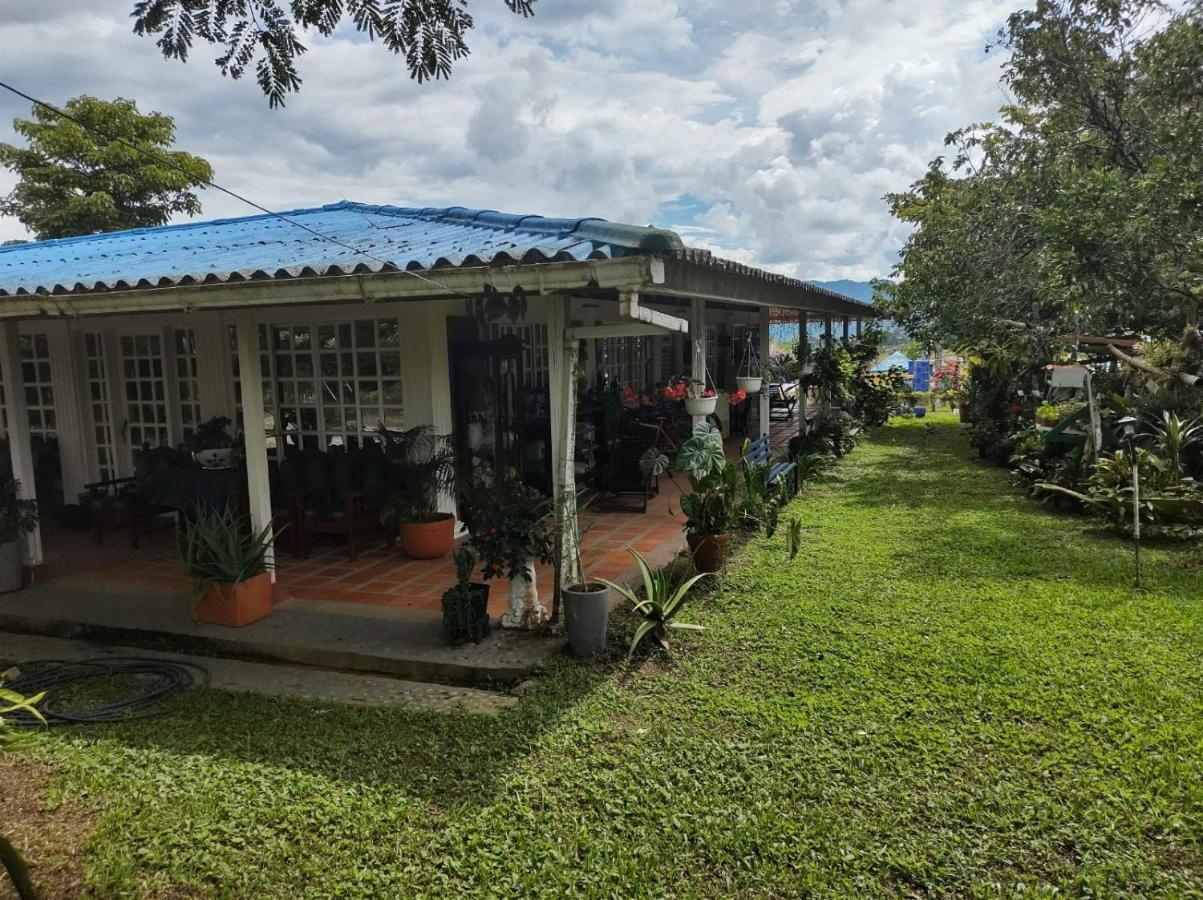 Villa Monica Montenegro Extérieur photo
