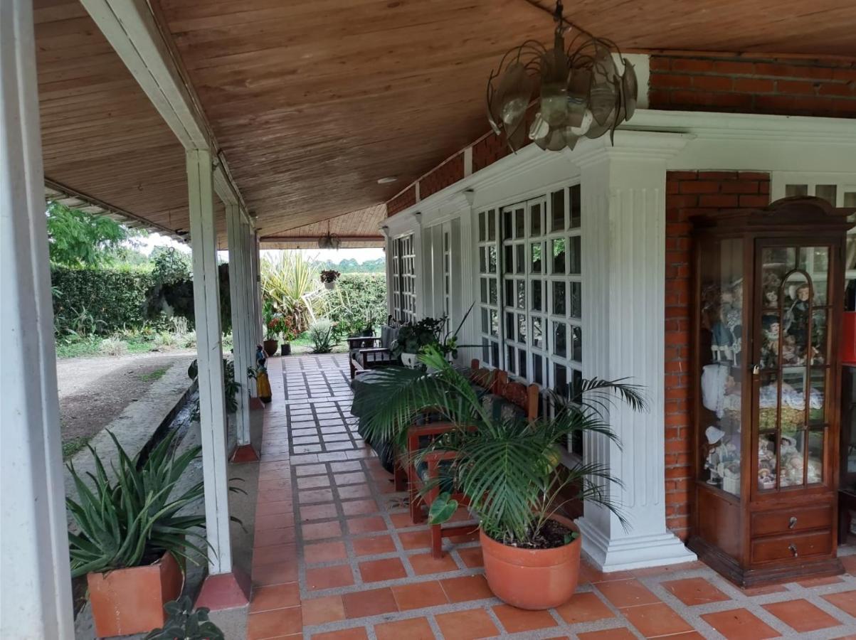 Villa Monica Montenegro Extérieur photo